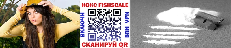 Купить закладки  Аксай  Cocaine Fish Scale 