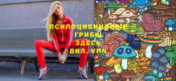 мдма Краснослободск