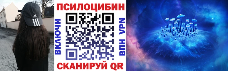 Купить  Аксай  Псилоцибиновые грибы MAGIC MUSHROOMS 