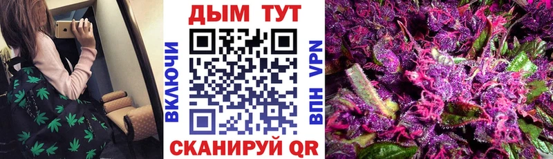Купить закладки  Аксай  Каннабис сатива 